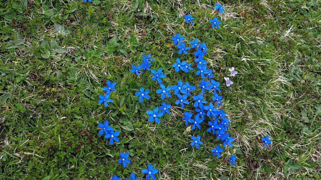 P5011316