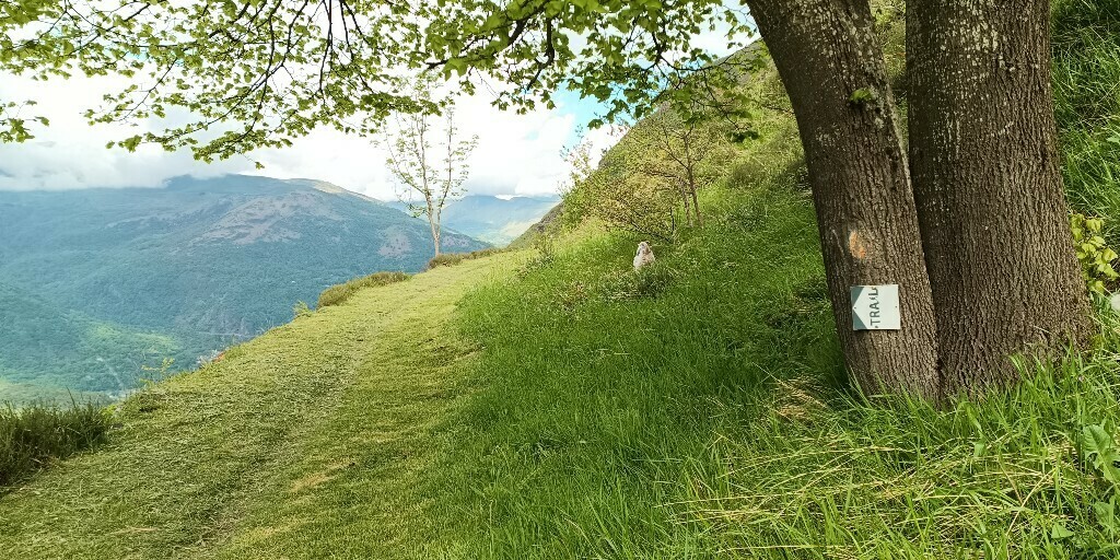IMG 20250512 111641 754