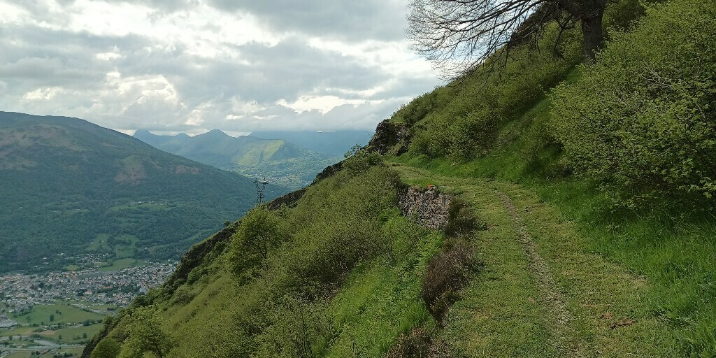 IMG 20250512 174426 617