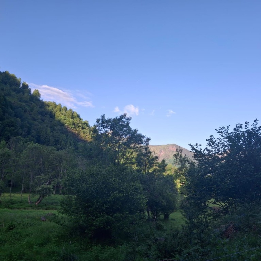 IMG-20250531-WA