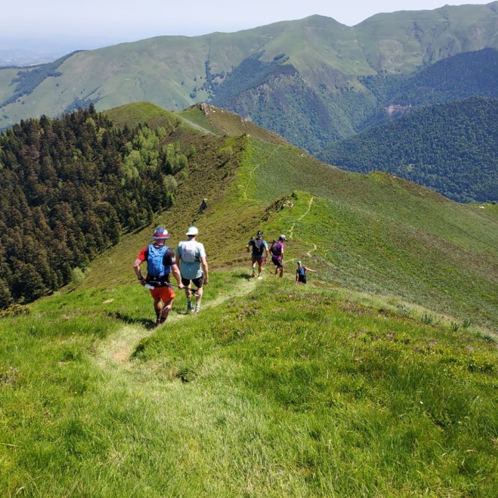 IMG-20250531-WA