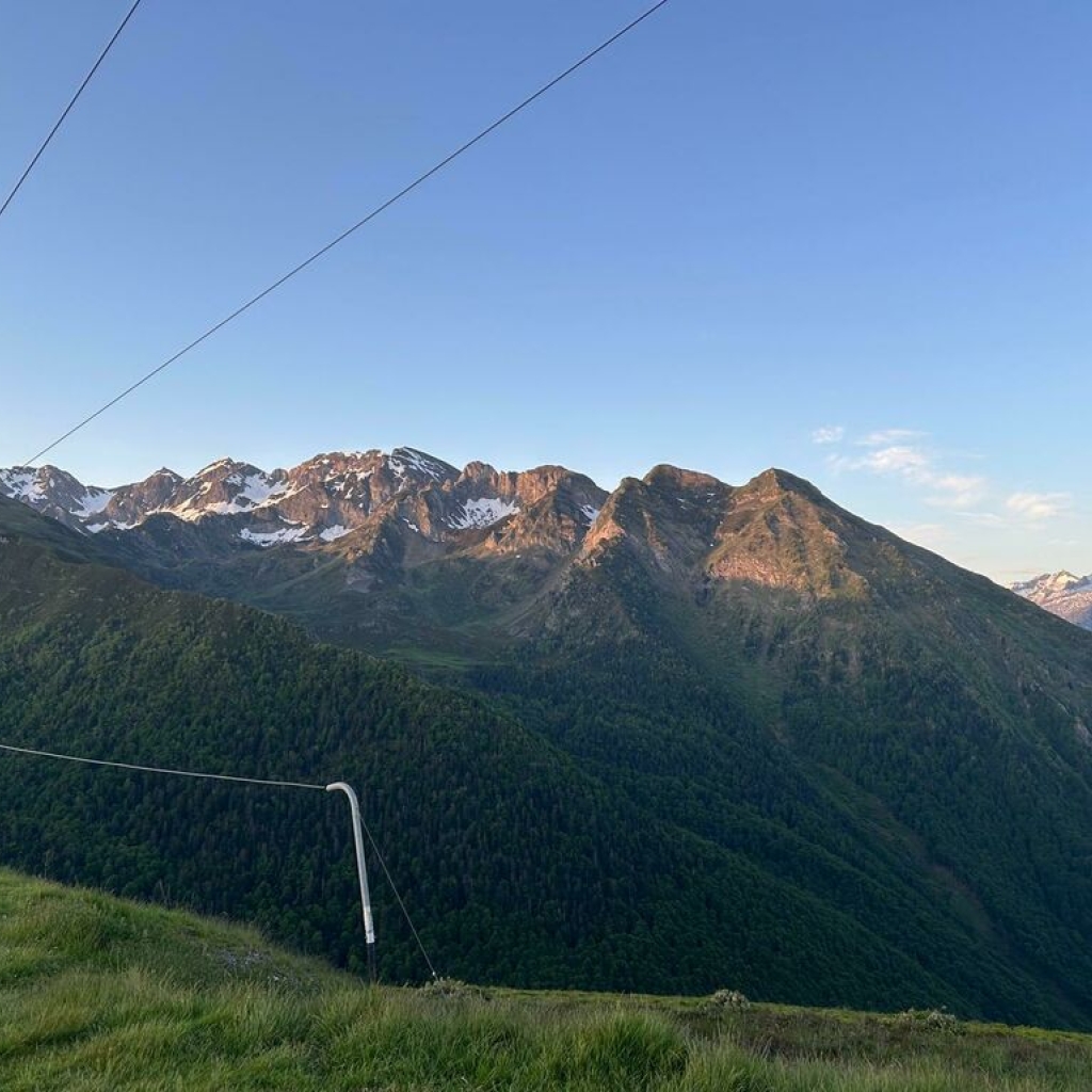 IMG-20250603-WA